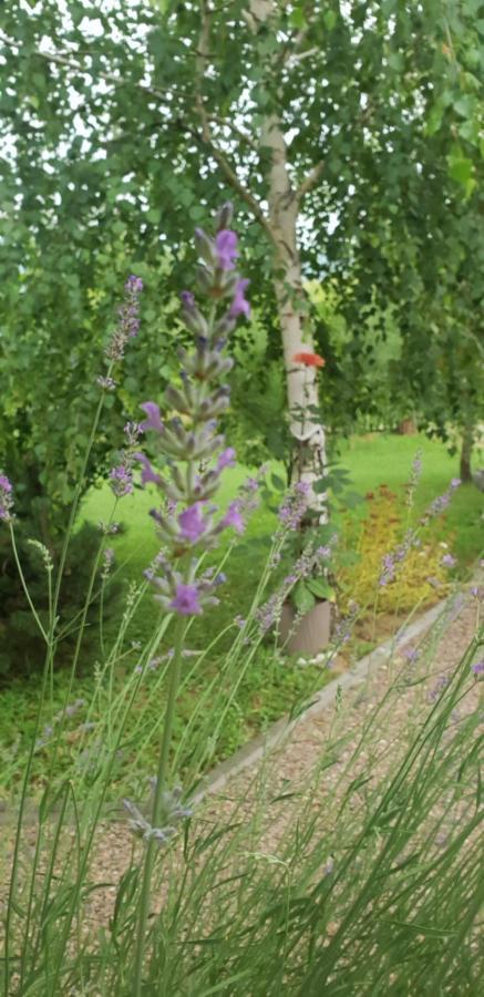 Green Garden Lohovo Bihac Ngoại thất bức ảnh