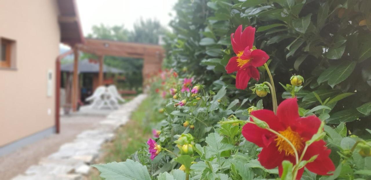 Green Garden Lohovo Bihac Ngoại thất bức ảnh